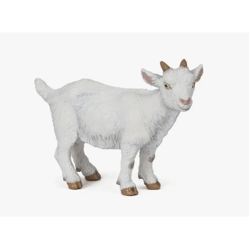 Goat – White Kid Goat