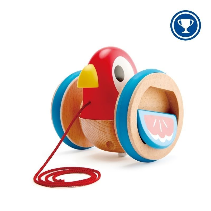 Pull-Along Toy