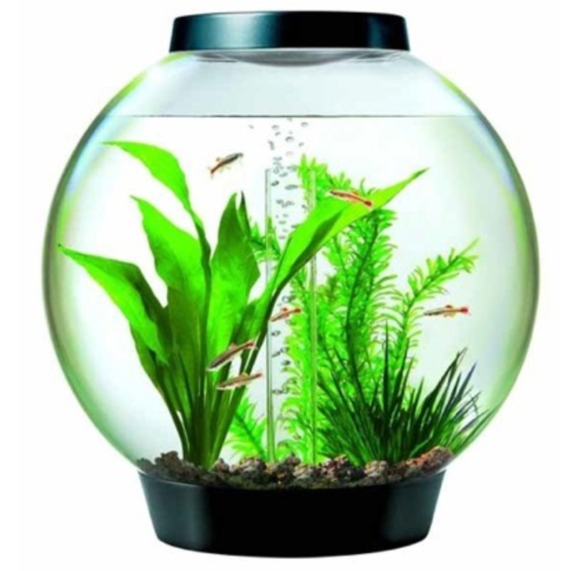 8 Gallon Aquarium