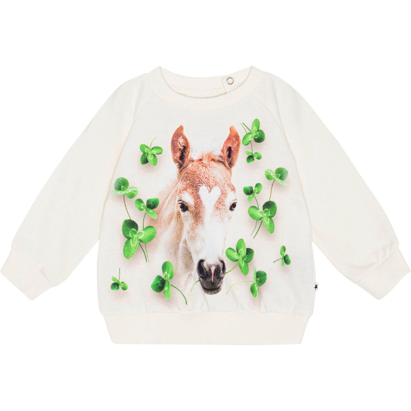 Disc Sweatshirt – Clover Floral