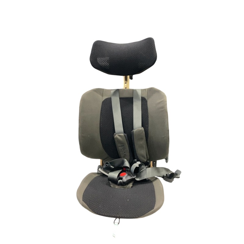 WAYB Pico Portable Car Seat, 2023, Earth