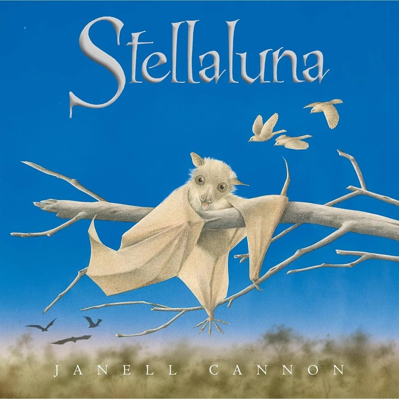 Stellaluna Board Book