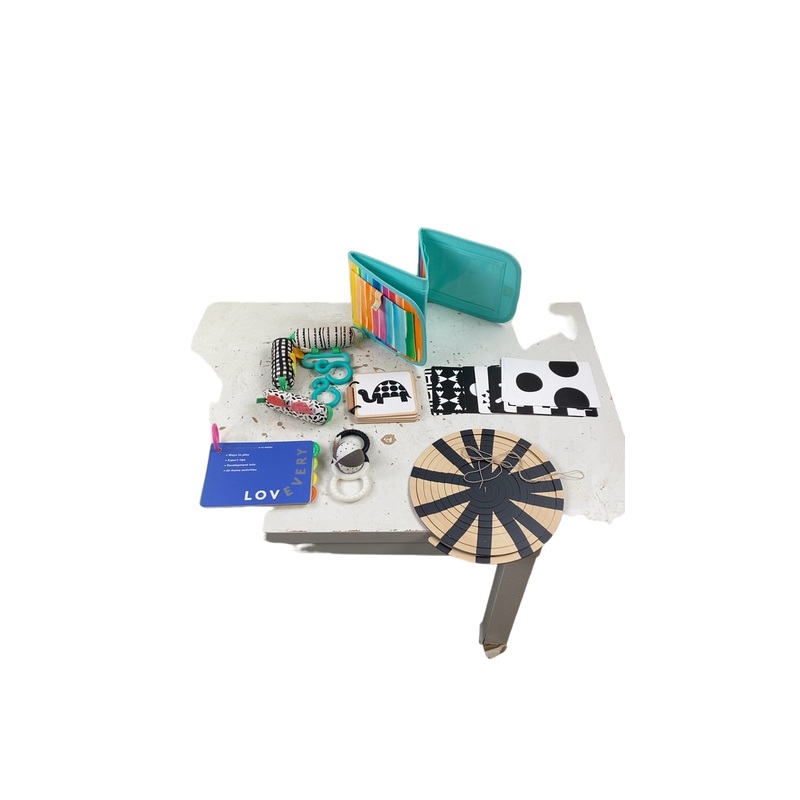 Lovevery The Looker Play Kit