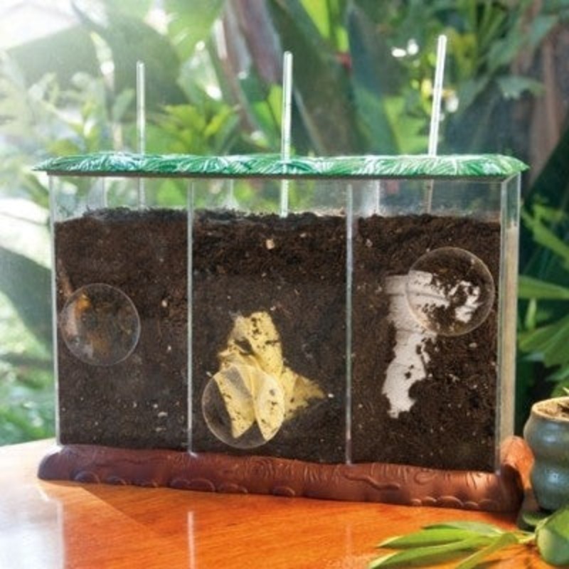 See-Through Compost Container