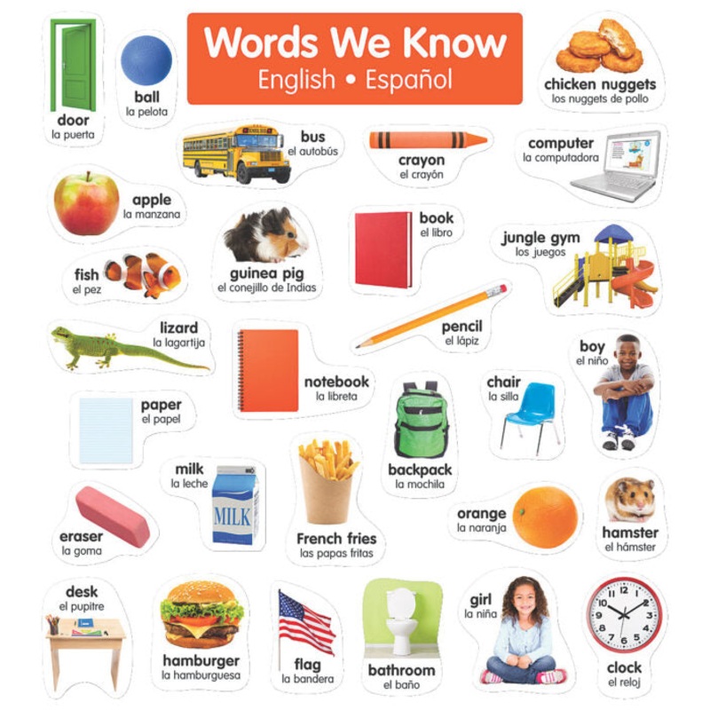 English-Spanish Photo Word Wall Bulletin Board