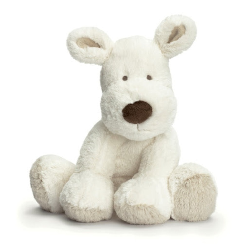 Teddy Medium Cream Dog