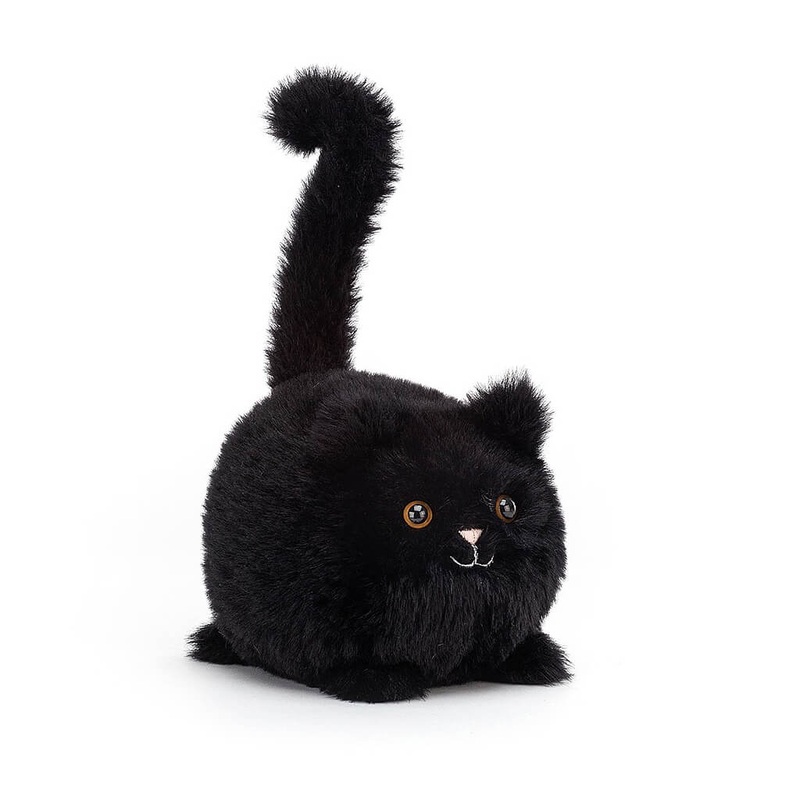 Kitten Caboodle