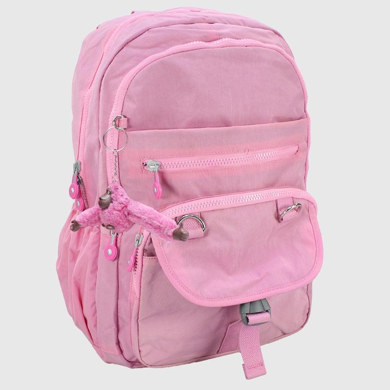 Pink 18 Inches Backpack