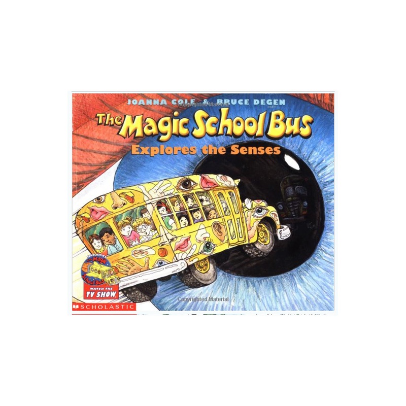 Scholastic Magic School Bus Explores The Senses