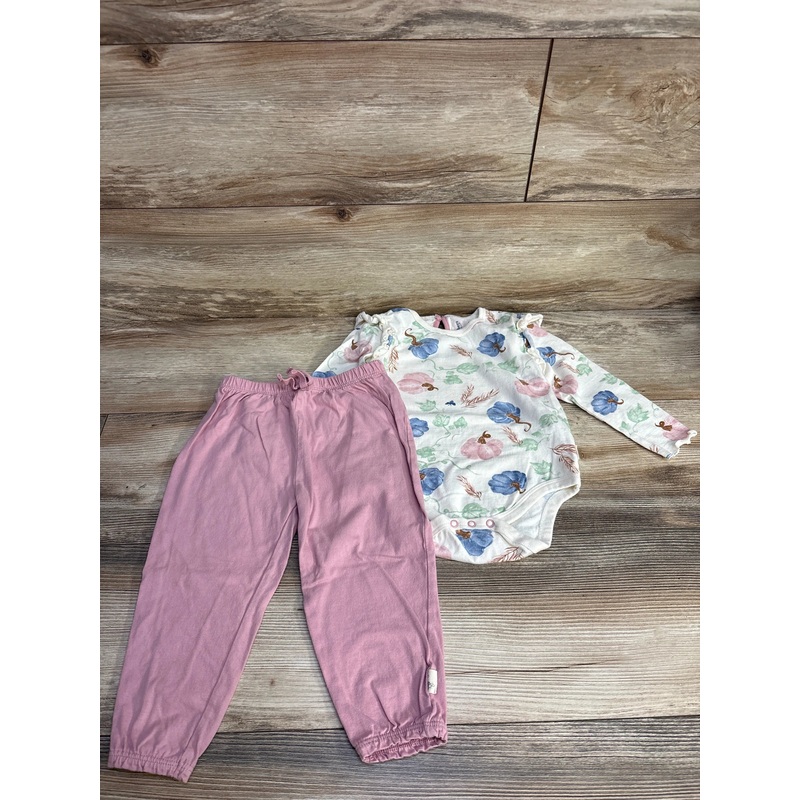 Burt’s Bees Baby 2pc Pumpkin Bodysuit & Pants Set White sz 18m White 18m