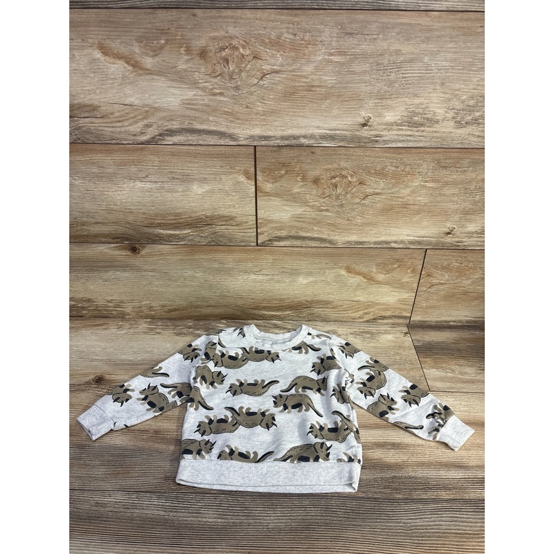 Carter’s Dinosaur Sweatshirt Grey sz 24m Grey 24m