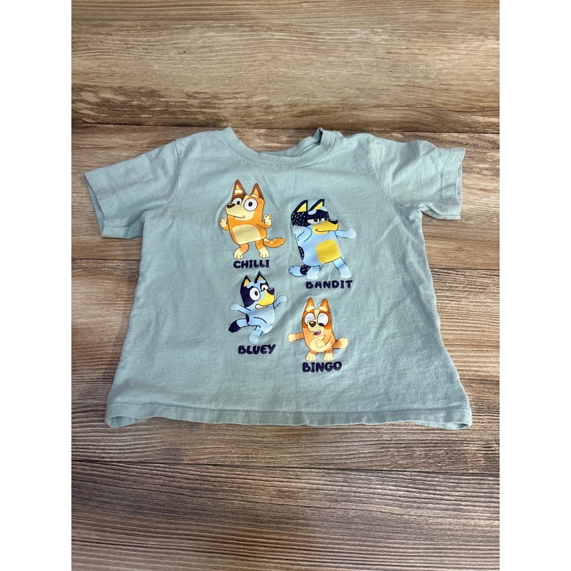 Bluey Shirt Green sz 3T Green 3T