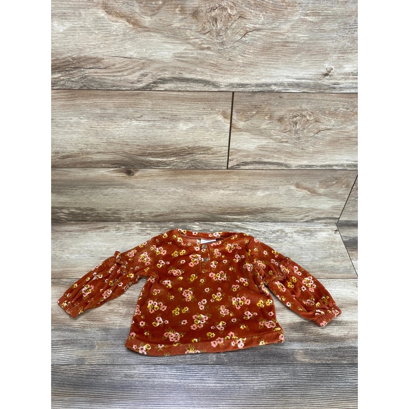 Little Lass Floral Ruffle Sweatshirt Orange sz 18m