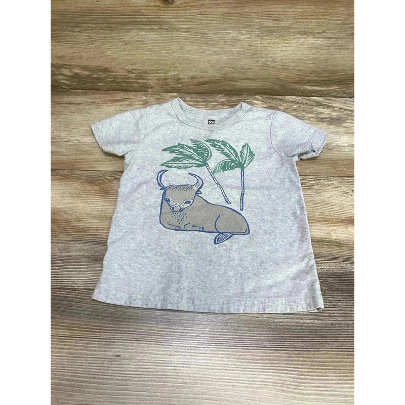 TEA Bull Shirt Grey sz 3T