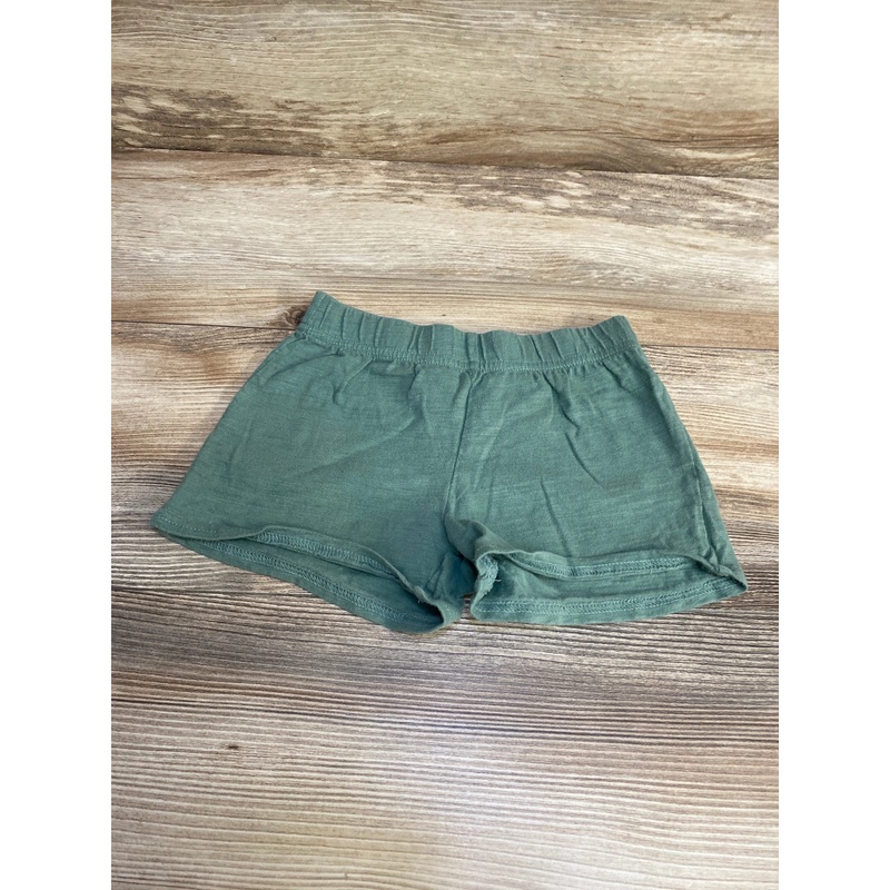 Carter’s Pull On Shorts Green sz 5T Green 5T