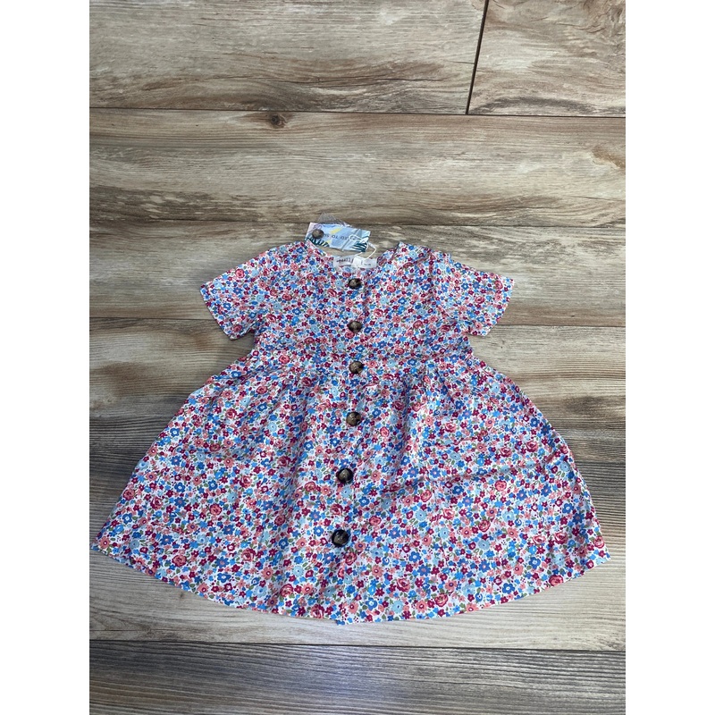NEW Brass & Roe by CTS Ophelia Dress sz 2-3T Multicolor 2T