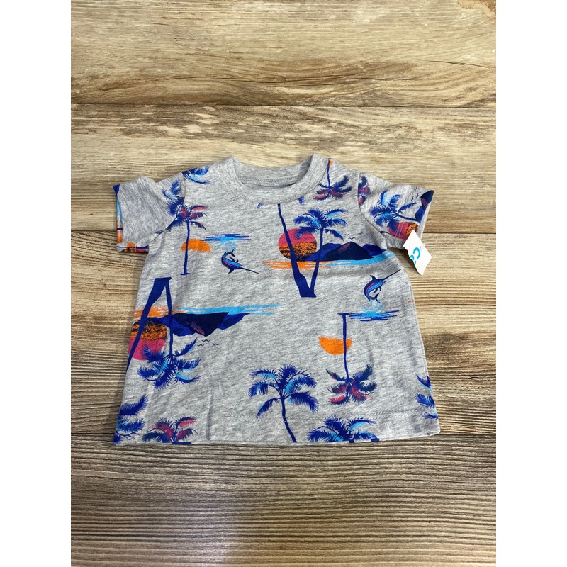 NEW Carter’s Sunset Shirt Grey sz 3m Grey 3m