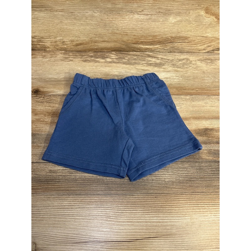 Carter’s Pull On Shorts Blue sz 2T Blue 2T