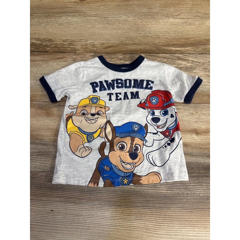 Nickelodeon Paw Patrol Shirt Grey sz 3T Grey 3T