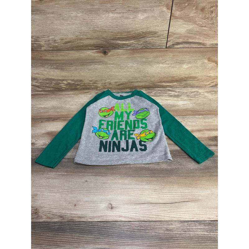 Nickelodeon TMNT All My Friends Are Ninjas Shirt Green sz 3T Green 3T