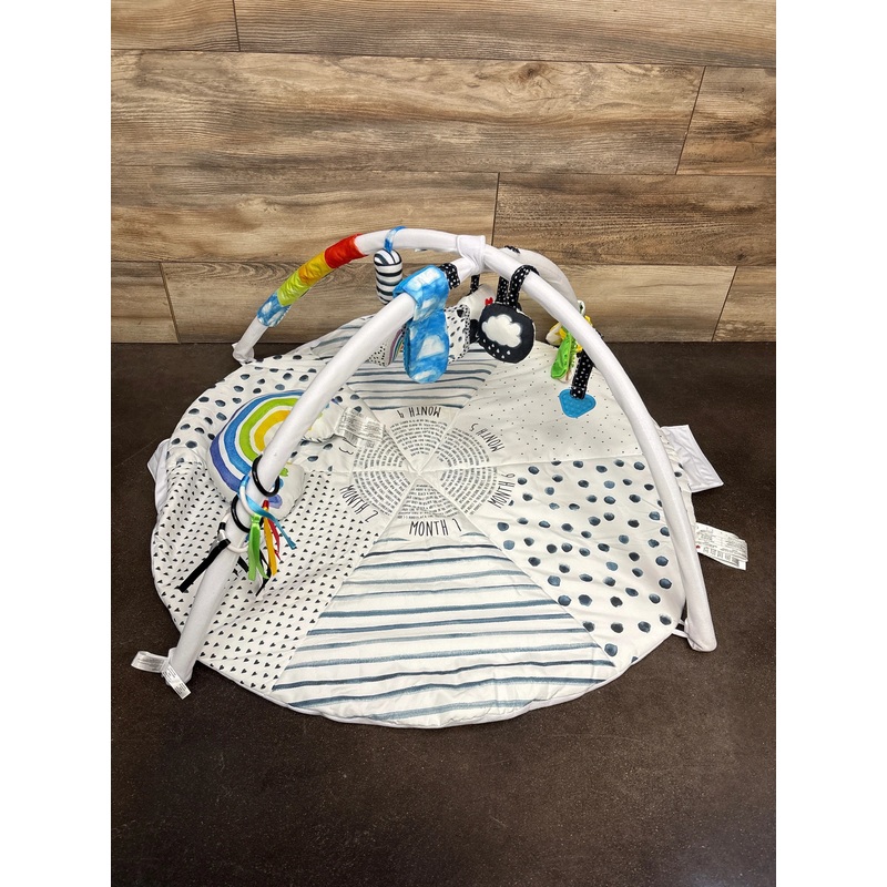 Sassy Stages STEM Developmental Activity Gym