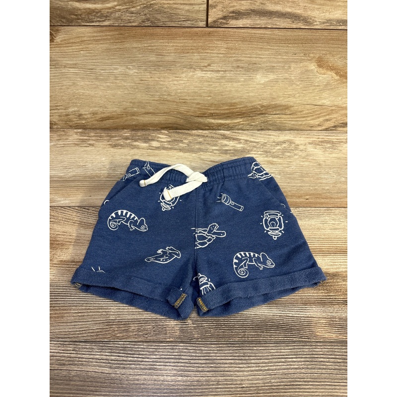 Carter’s Drawstring Shorts Blue sz 18m Blue 18m