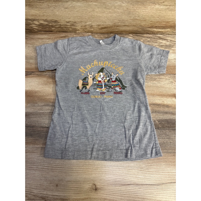 Forever Friends Llama Machupicchu Shirt Grey sz 4T Grey 4T