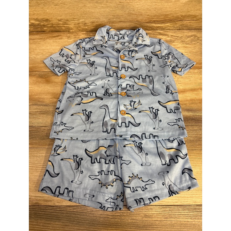 Carter’s 2pc Dinosaur Pajama Set Blue sz 4T Blue 4T