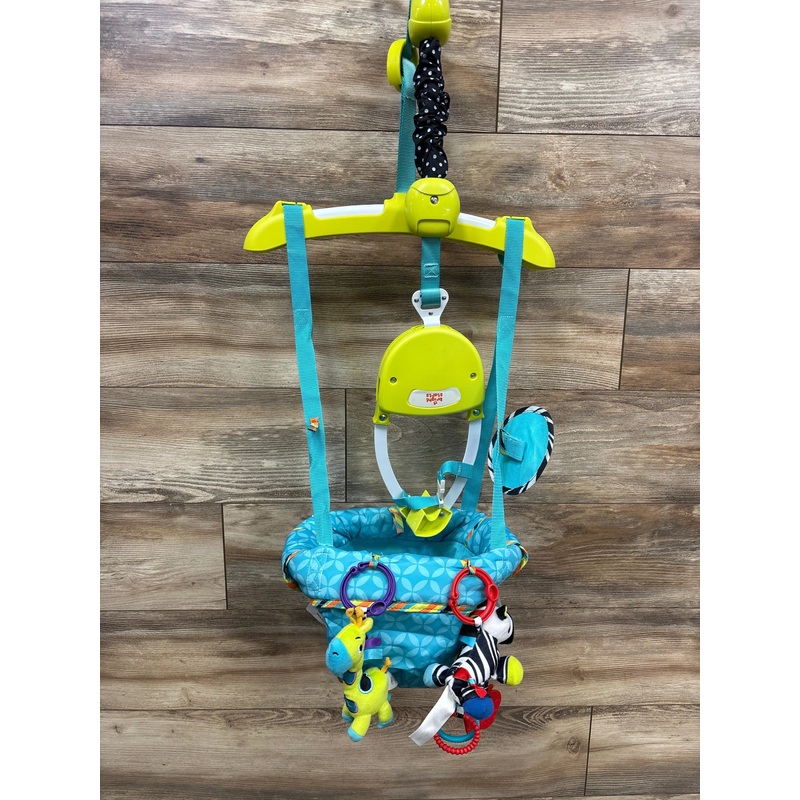 Bright Starts Bounce ‘N Spring Deluxe Door Jumper