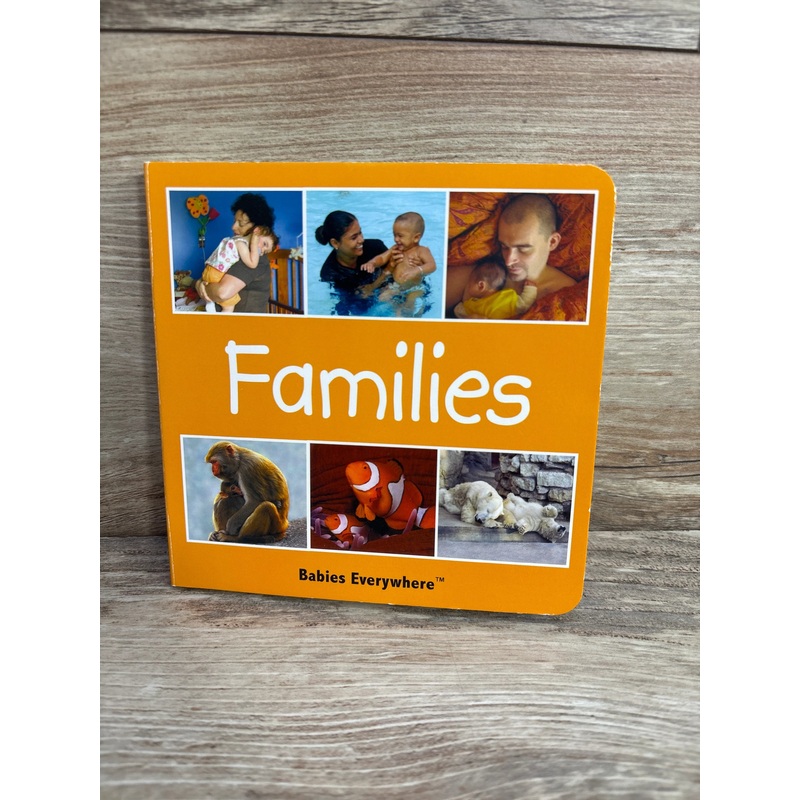 Families (Babies Everywhere) Board Book