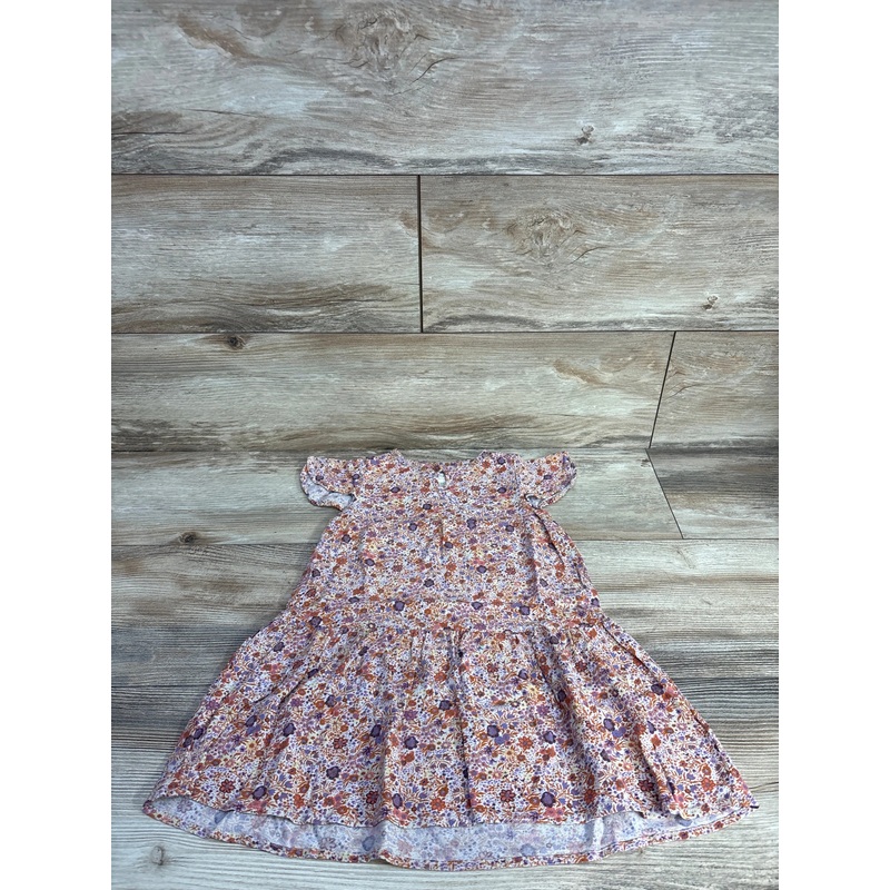 Shyanne Girls Floral Dress sz 4T Multicolor 4T