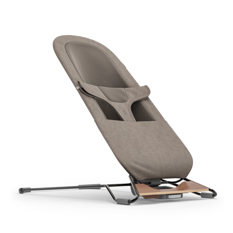 Mira 2-in-1 Bouncer and Seat – Wells