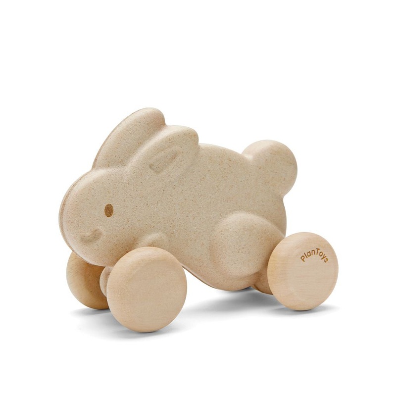 Push Along Bunny – White
