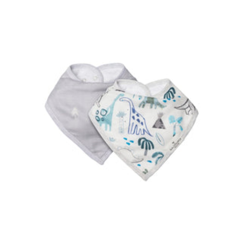 Luxe Muslin Bandana Bib Set – Dinosaurs