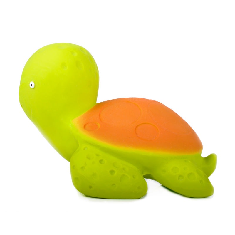 Mele the Sea Turtle