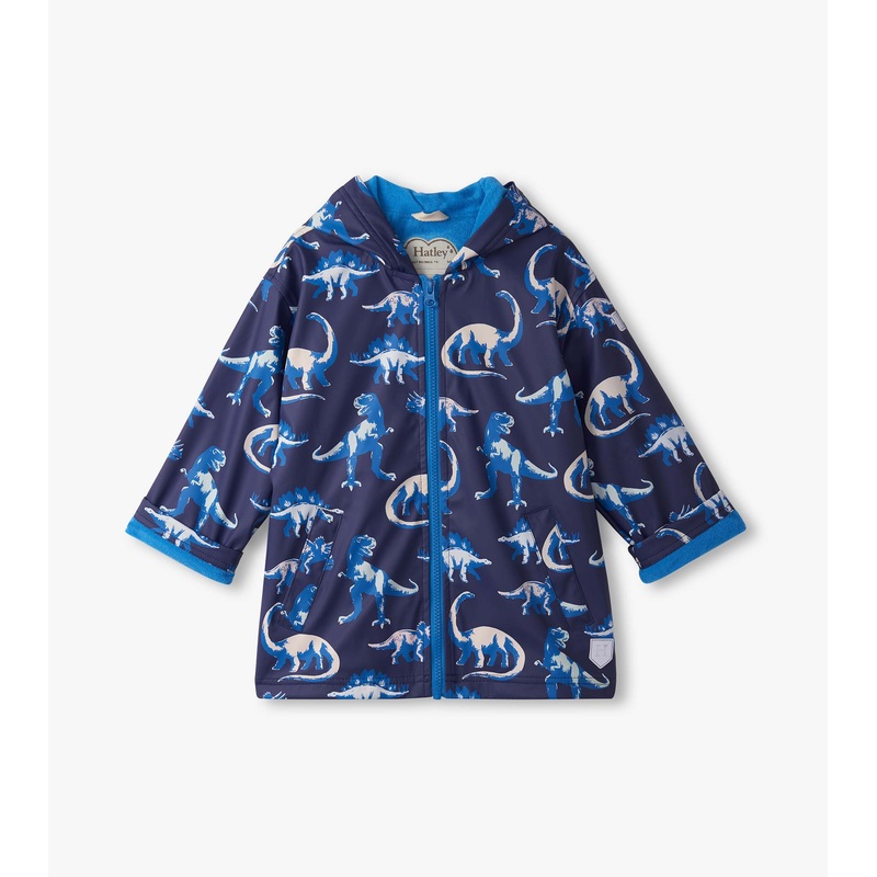 Color Changing Rain Jacket – Painted Dino 2