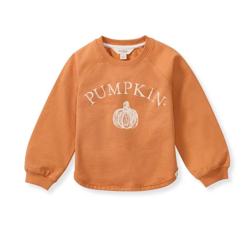 Organic Cotton  Pumpkin Sweatshirt – Caramel Apple 2T