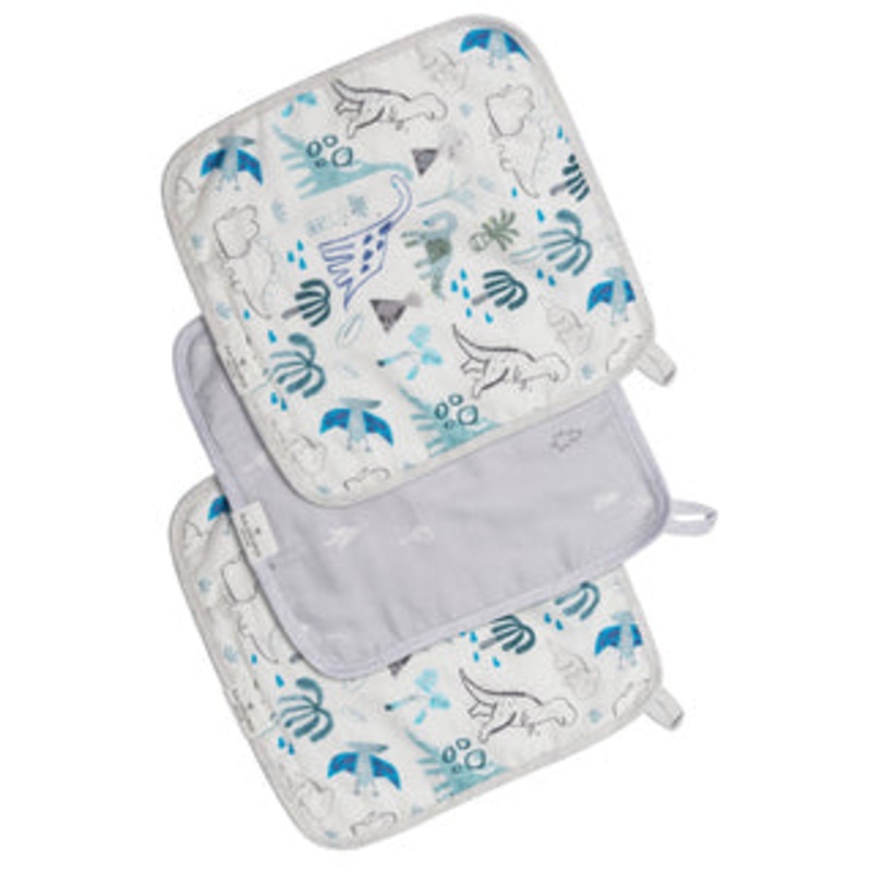 Muslin Washcloth Set – Dinosaurs