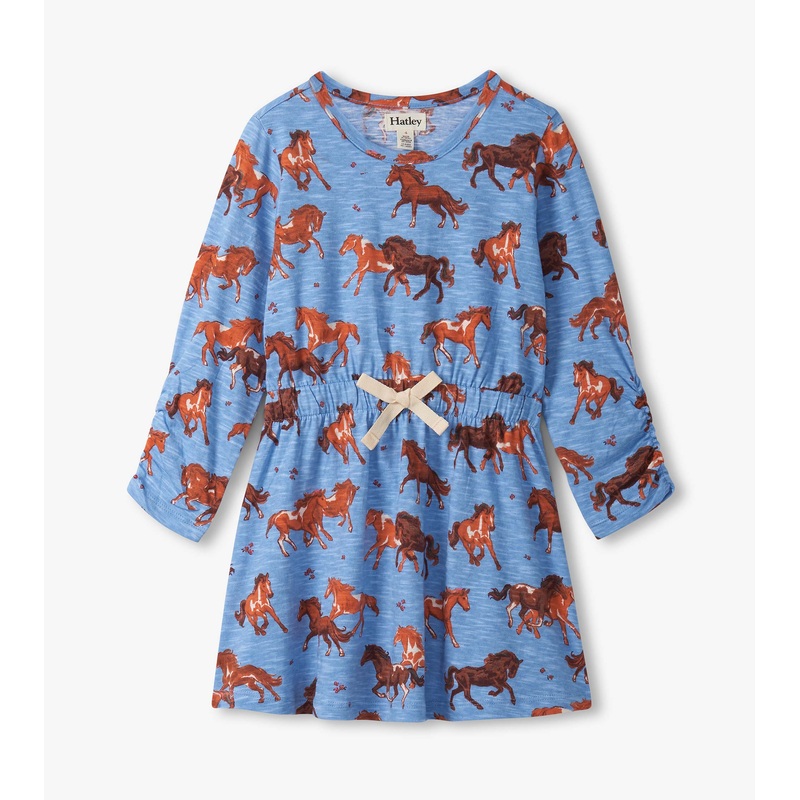 Cinched Waist Dress – Tinsel Horses 4T