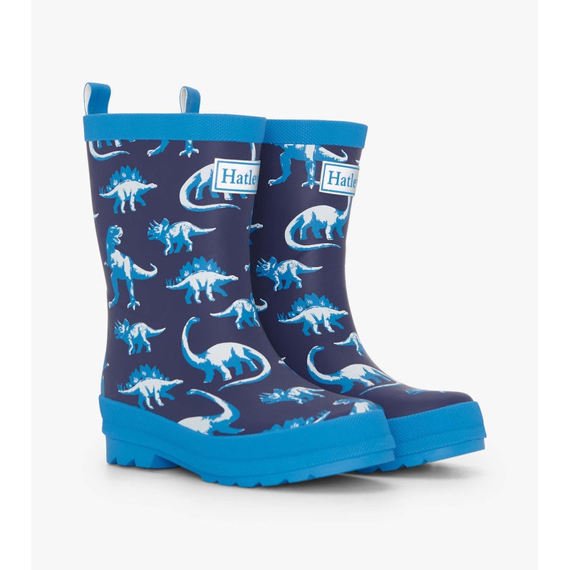 Matte Rain Boots- Painted Dinos 5